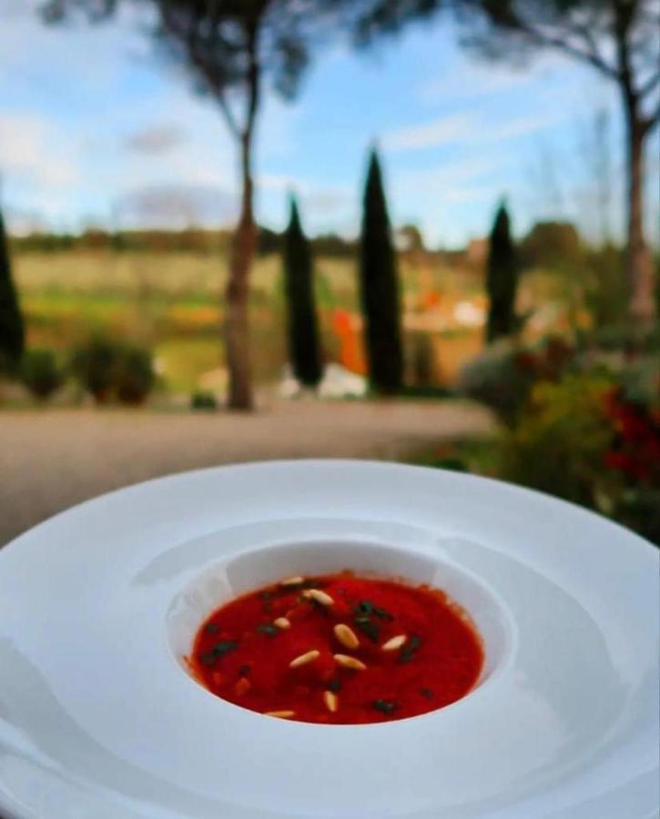 Podere Borgaruccio Peccioli المظهر الخارجي الصورة